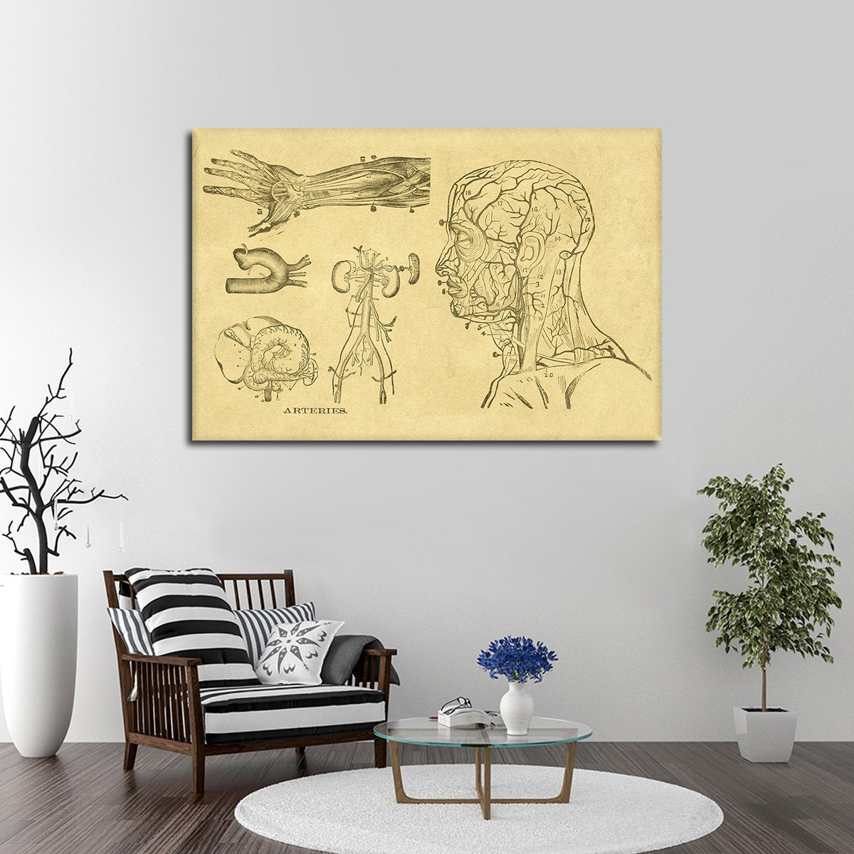 Arteries Multi Panel Canvas Wall Art