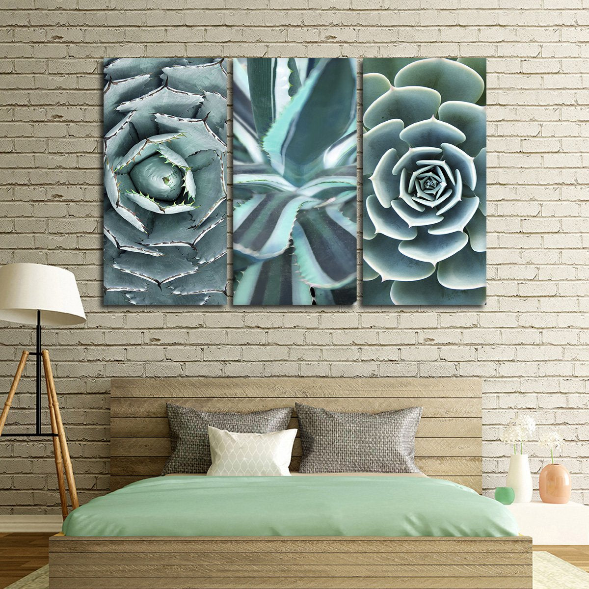 Cactus Compilation Canvas Set Wall Art
