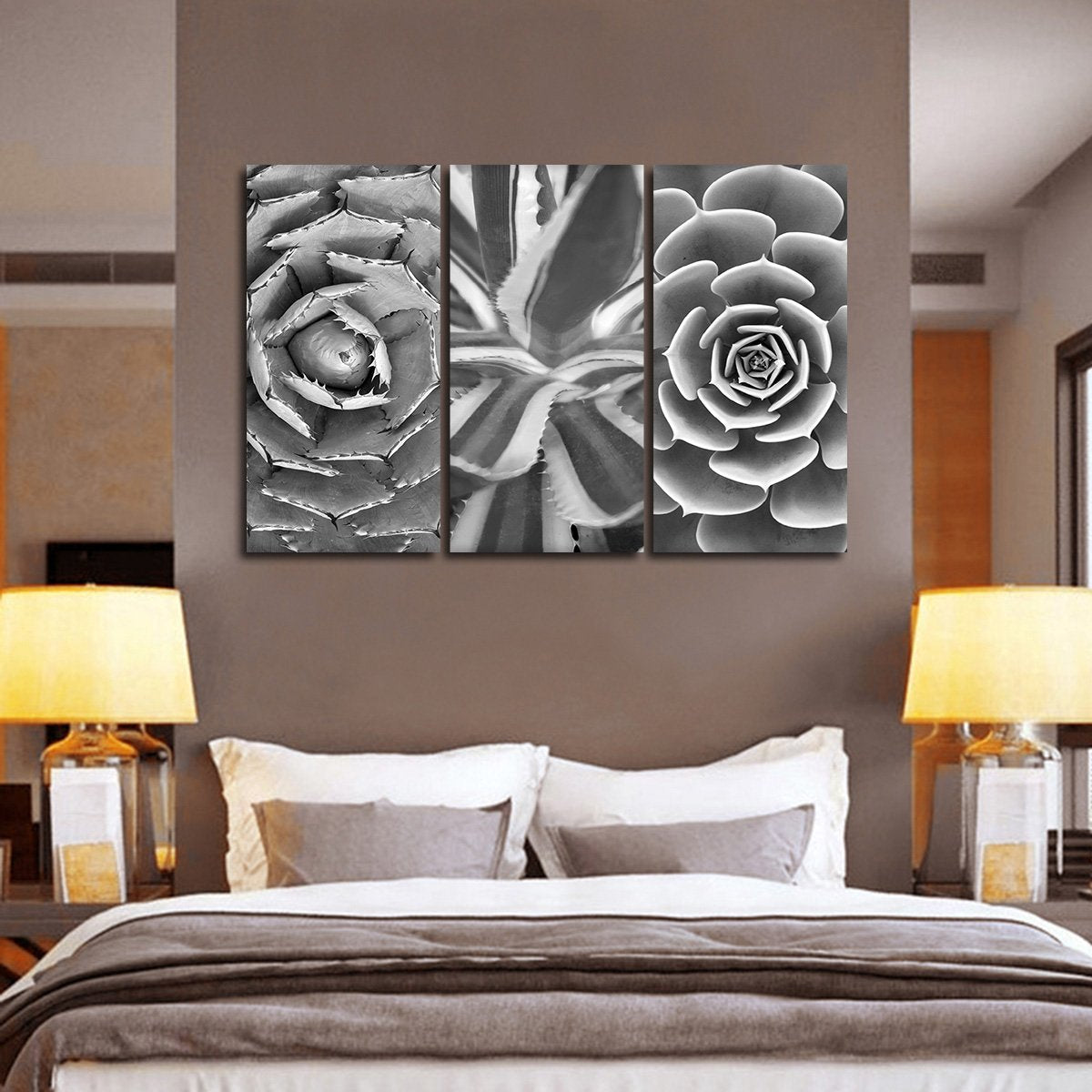 Cactus Assortment BW Canvas Set Wall Art