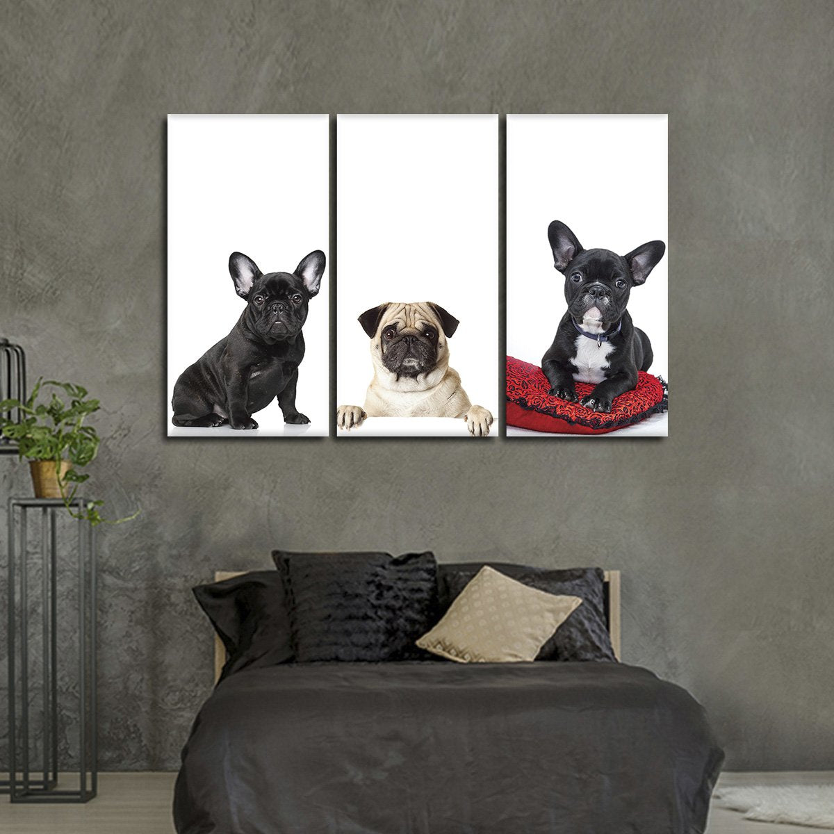 French Bulldogs And Pug Canvas Set Wall Art