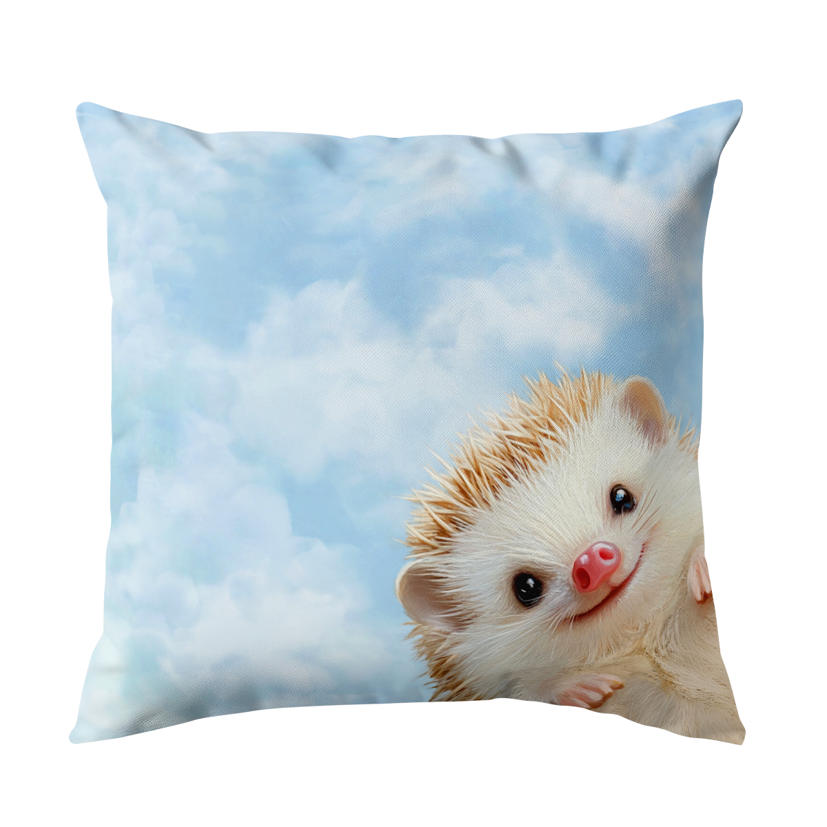 pillow-2_image-1