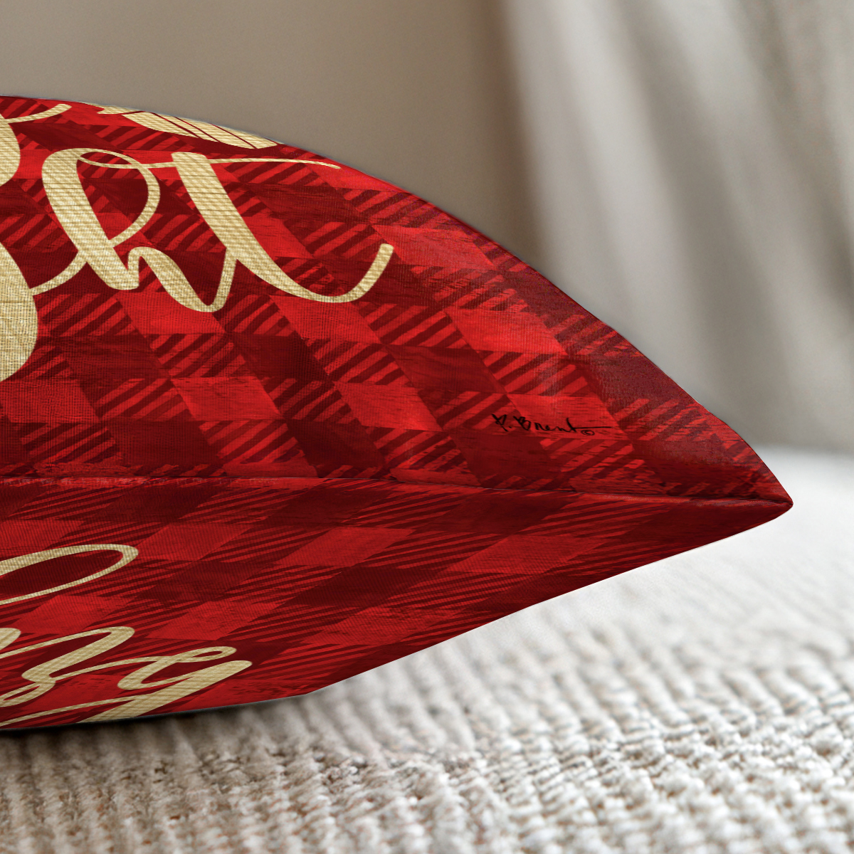 pillow-2_image-2