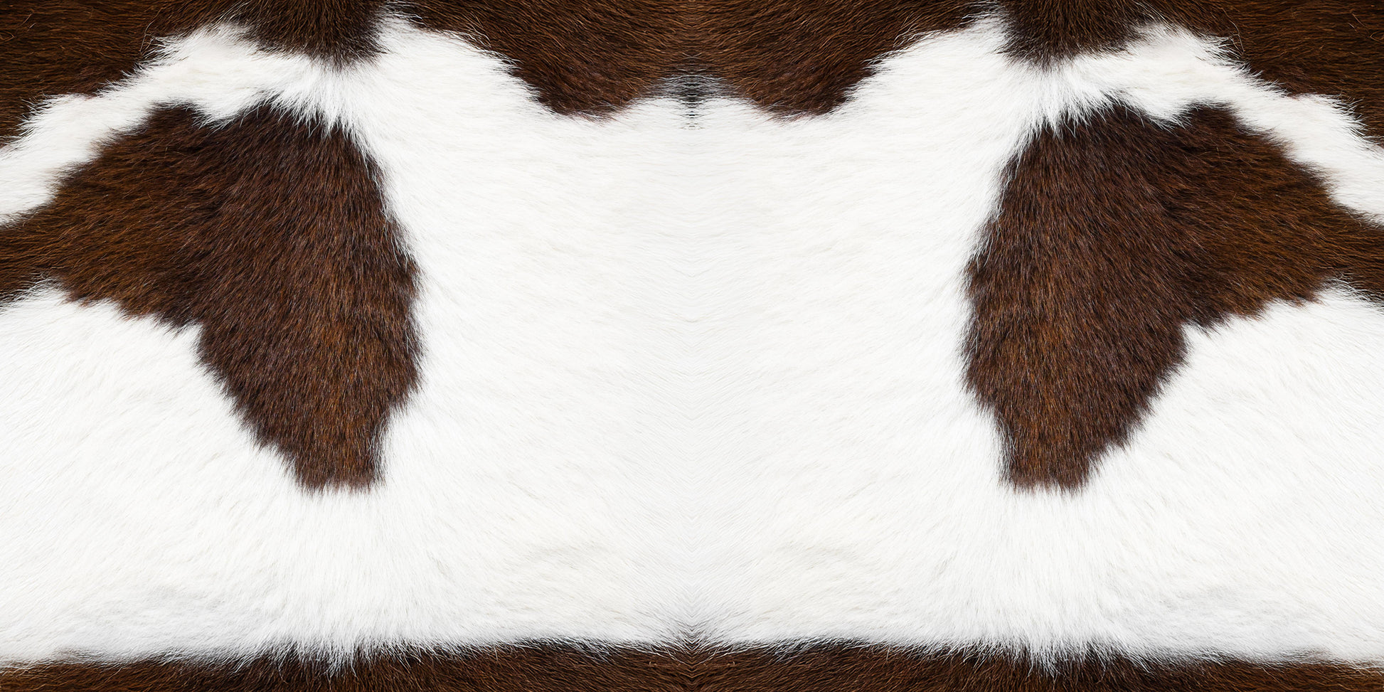 pillow-1_3d
