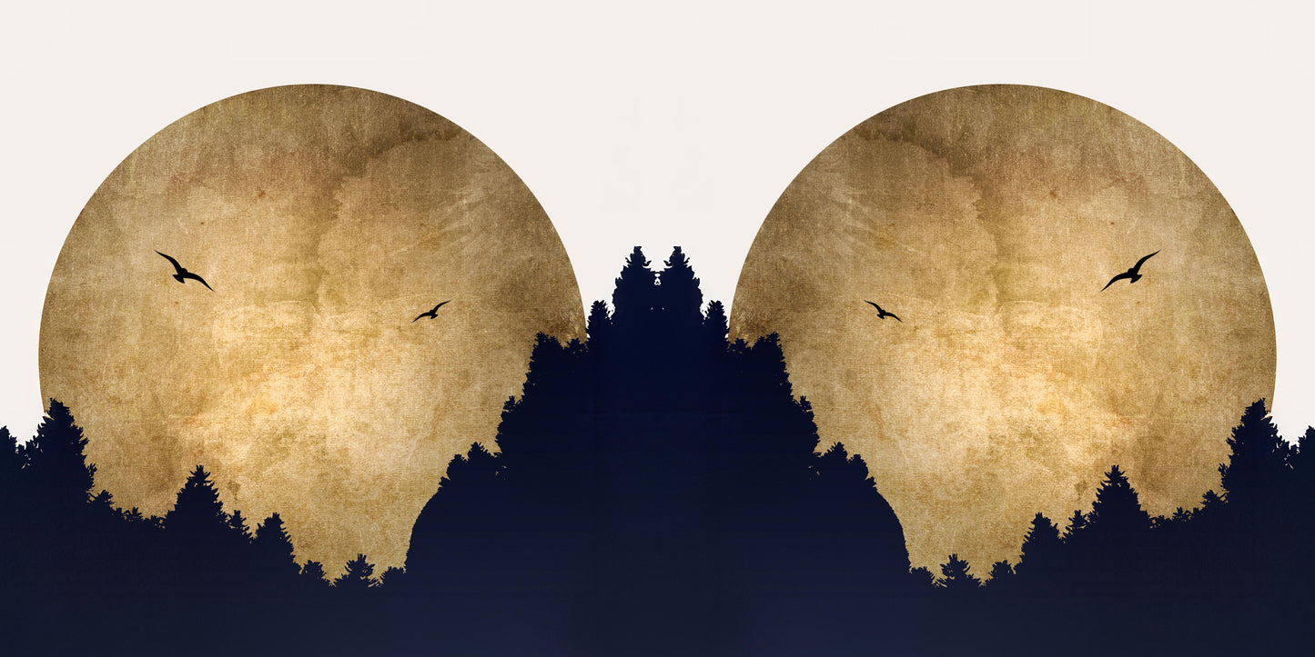 pillow-1_3d