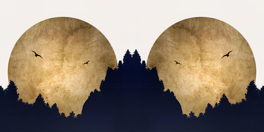 pillow-1_3d