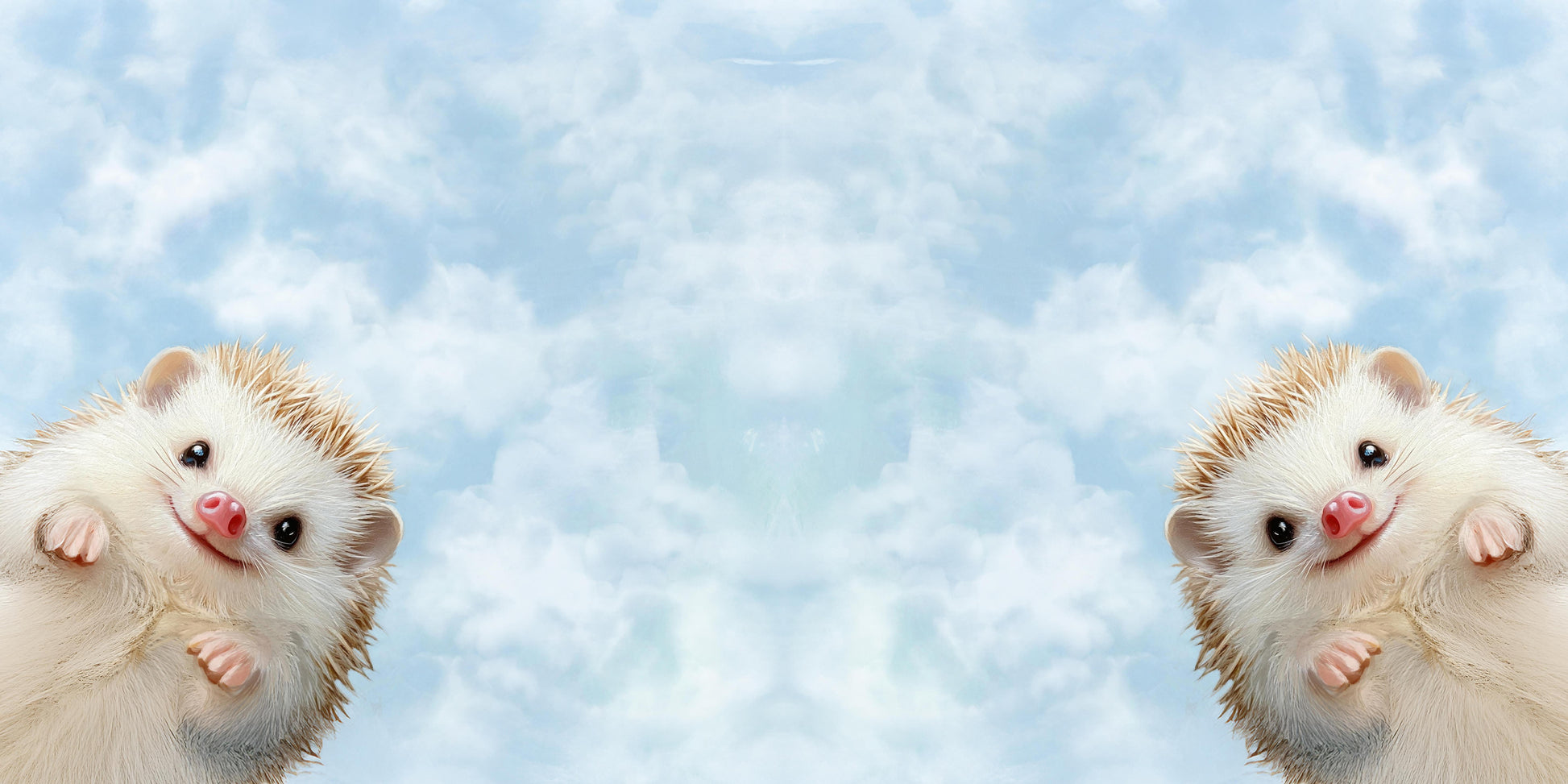 pillow-2_3d
