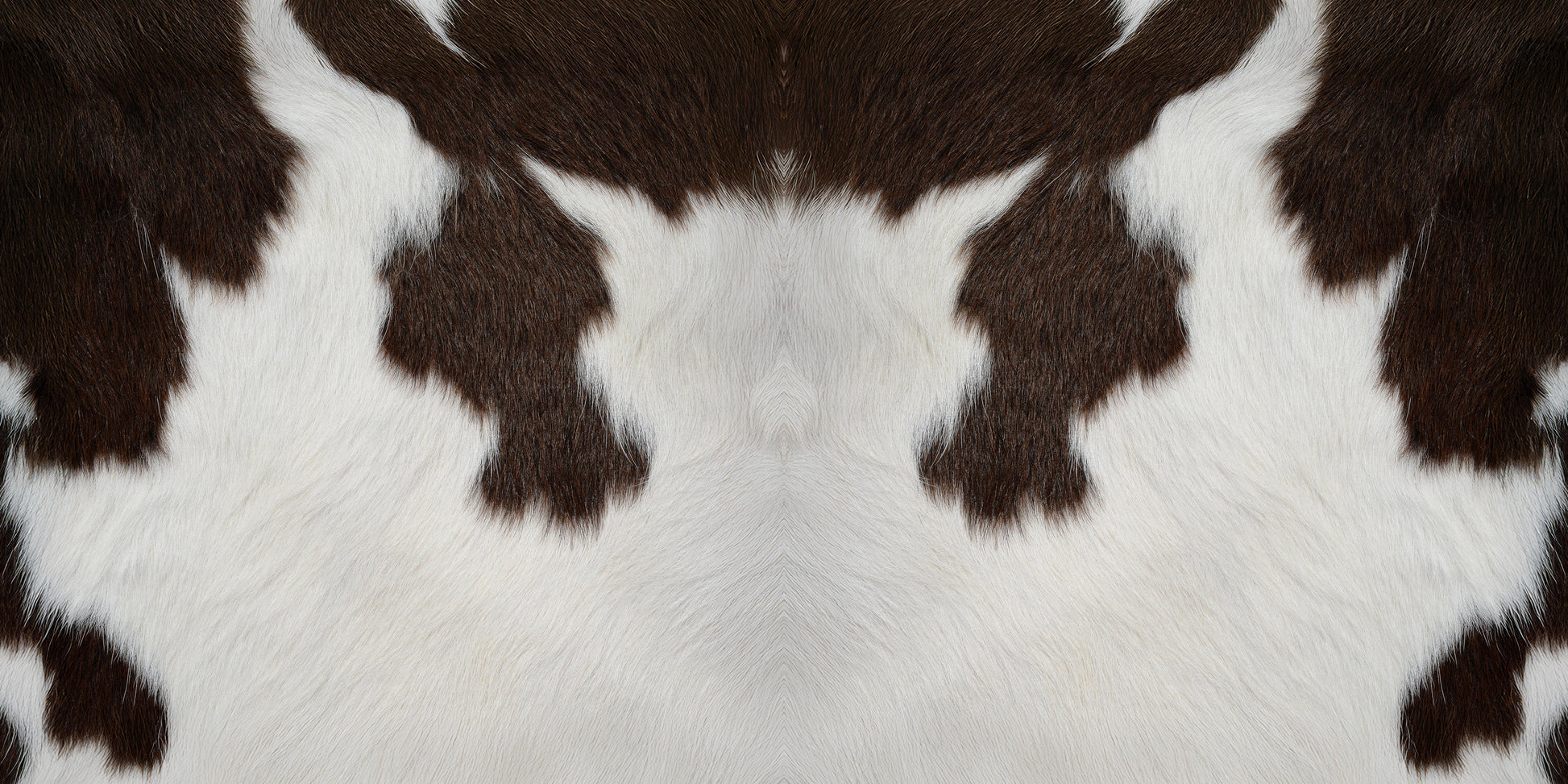 pillow-3_3d