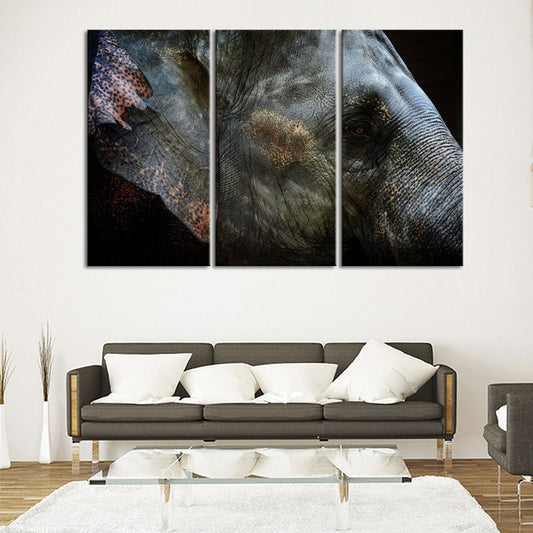 Eye Of The Elephant Multi Panel Canvas Wall Art