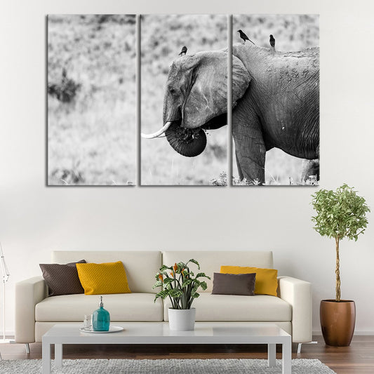 Elephant And Friends Multi Panel Canvas Wall Art