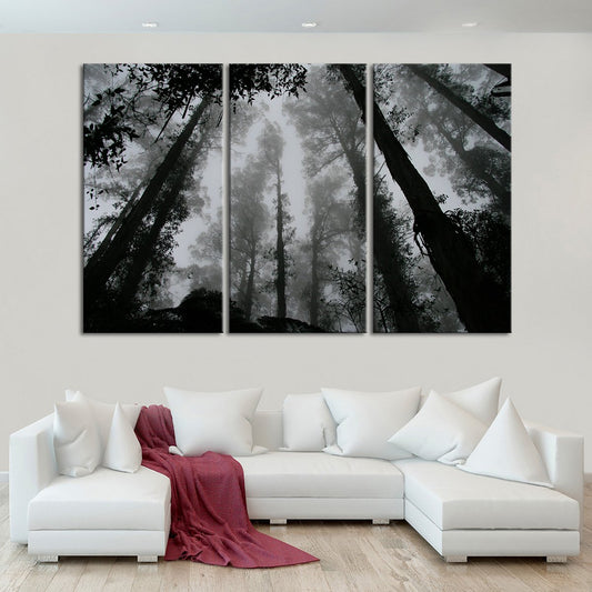 Fog Covering The Forest Multi Panel Canvas Wall Art