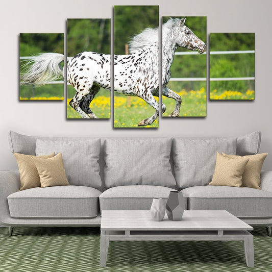 Appaloosa Horse Multi Panel Canvas Wall Art