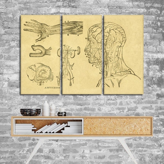 Arteries Multi Panel Canvas Wall Art