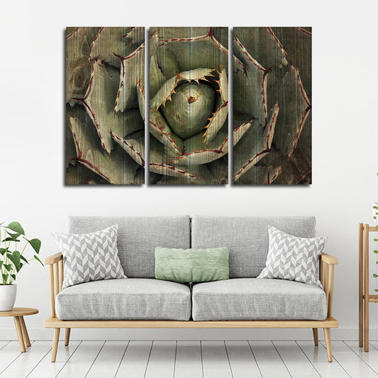 Dark Wooden Agave Bloom Multi Panel Canvas Wall Art