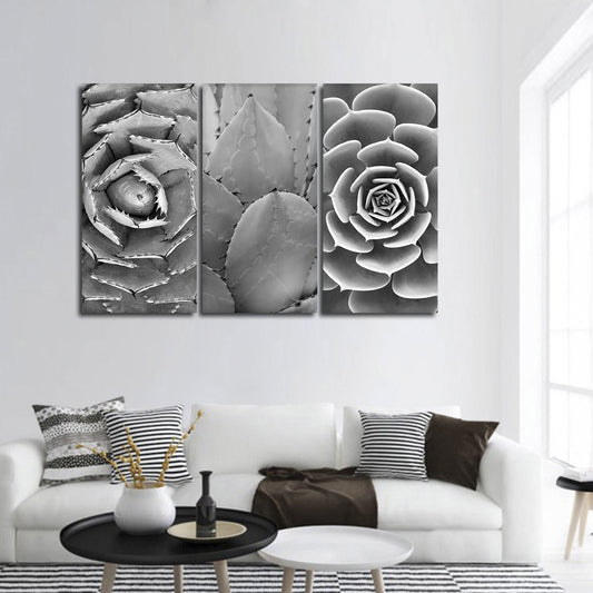 Beautiful Cacti BW Canvas Set Wall Art