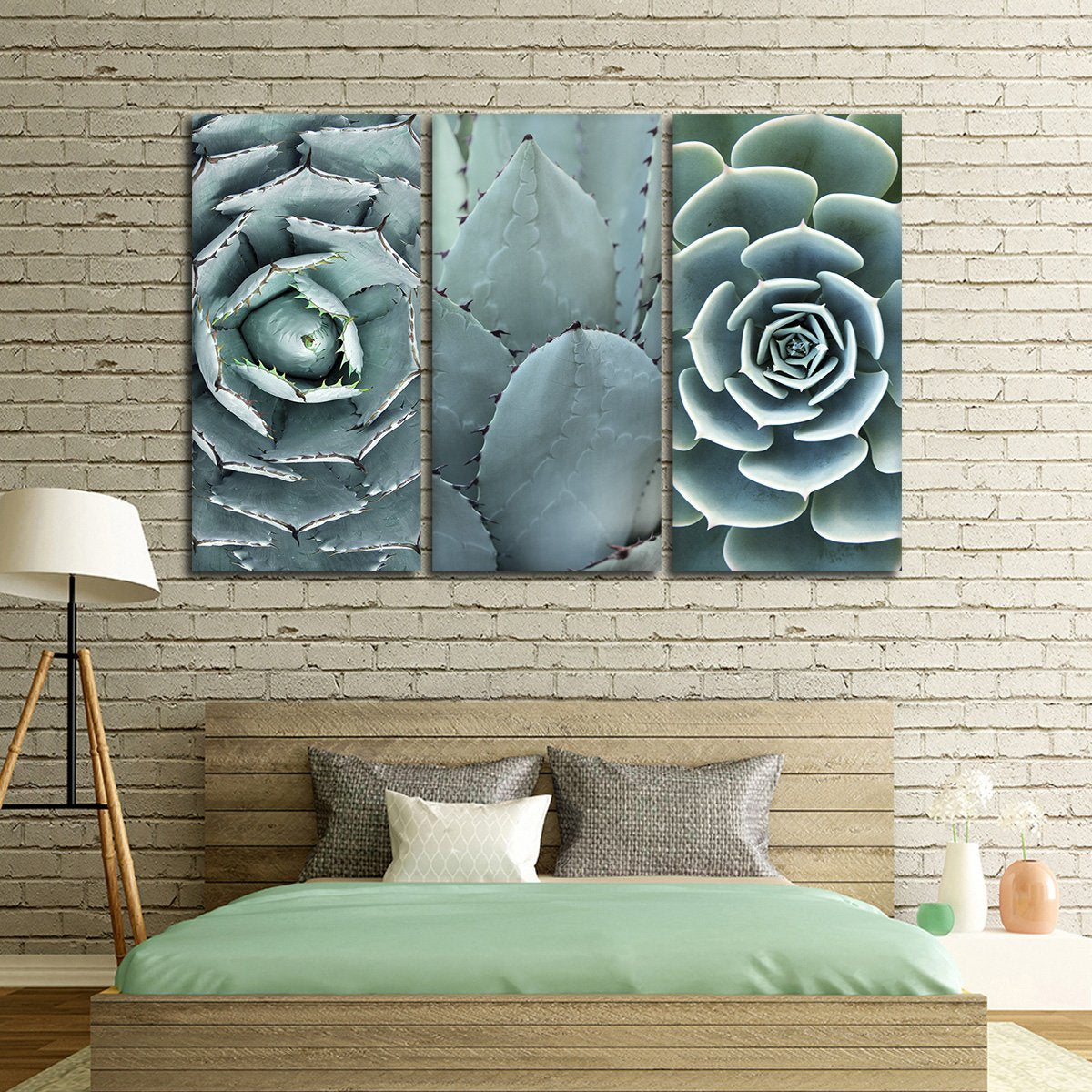 Cactus Assortment Canvas Set Wall Art