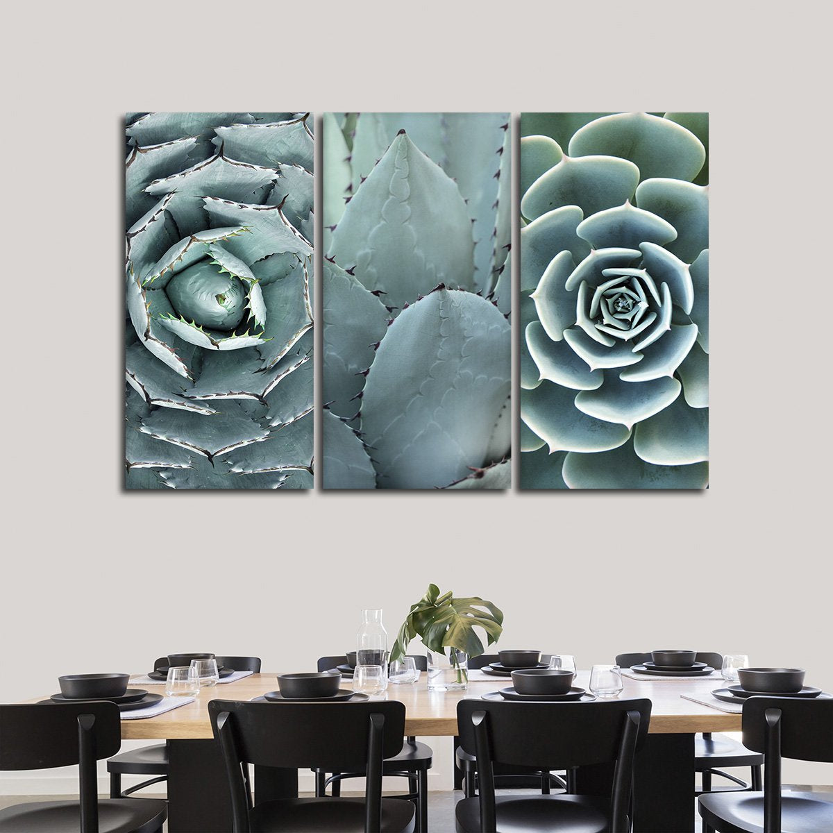 Cactus Assortment Canvas Set Wall Art