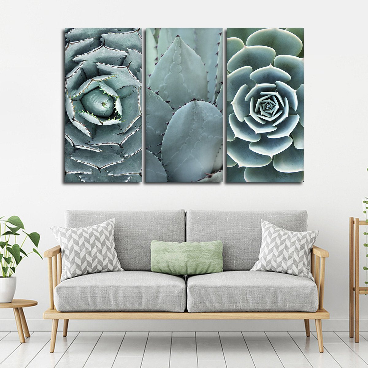 Cactus Assortment Canvas Set Wall Art