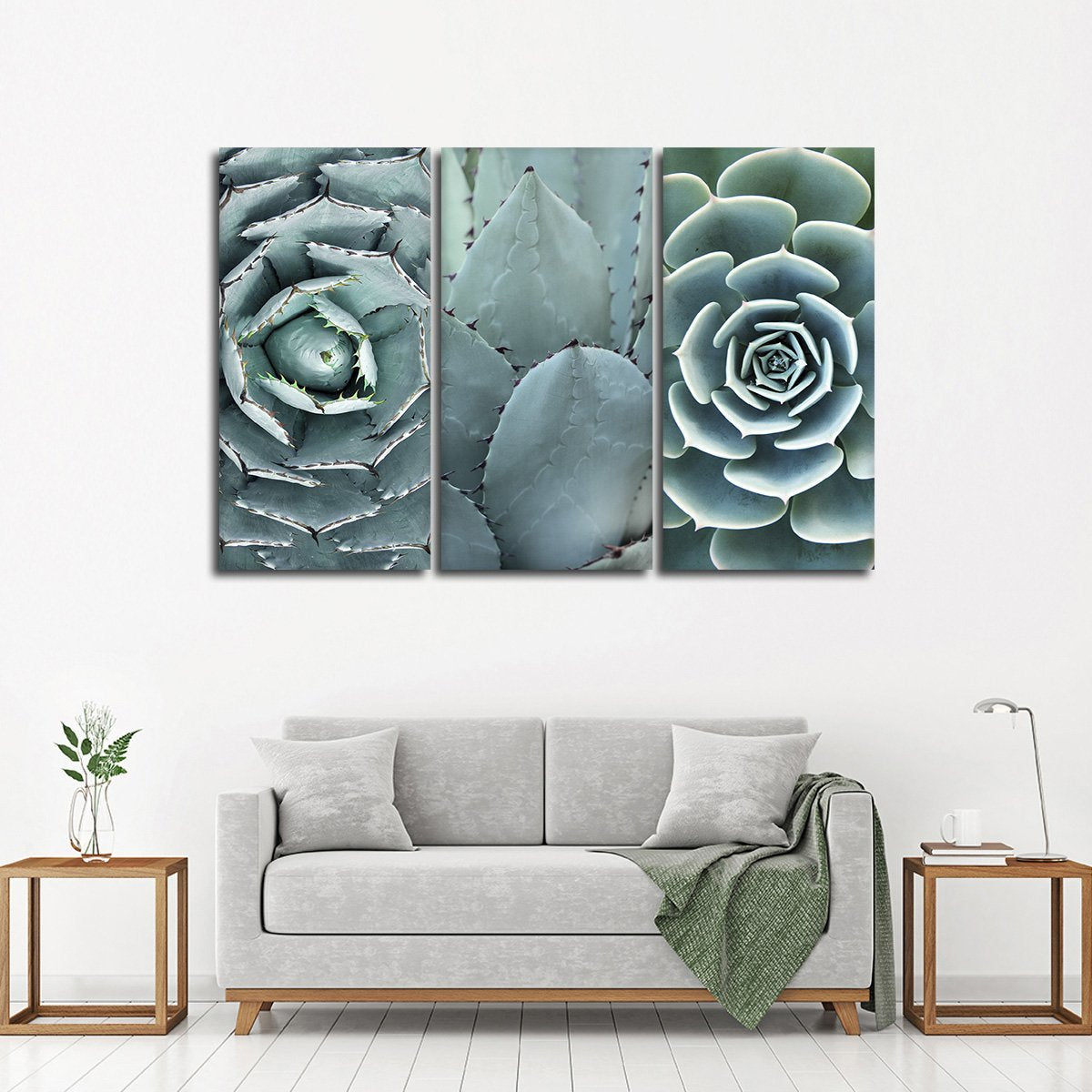 Cactus Assortment Canvas Set Wall Art