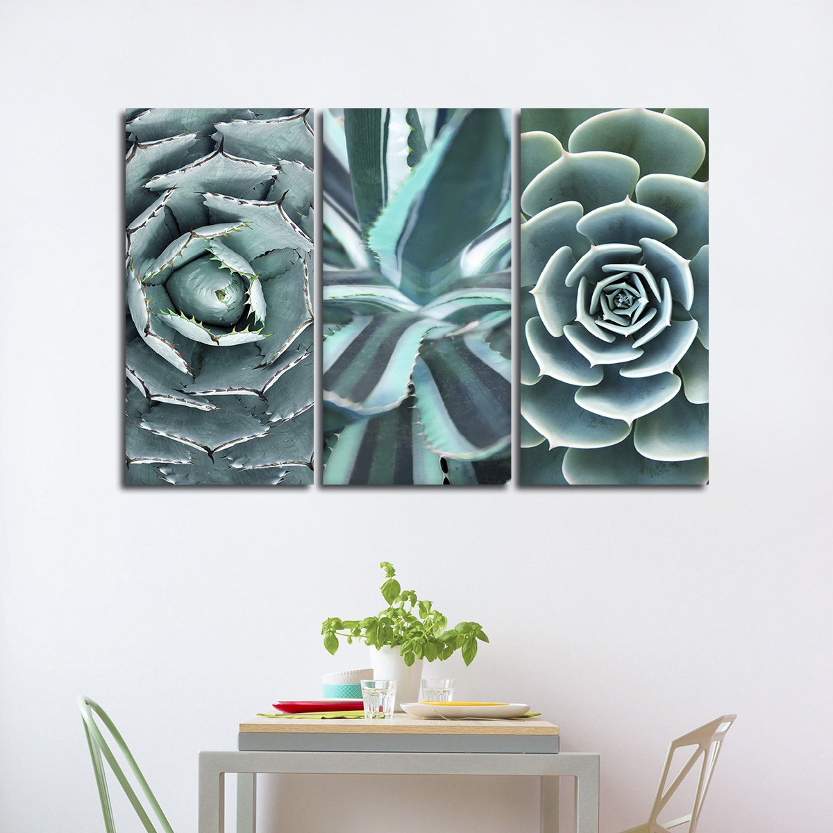 Cactus Compilation Canvas Set Wall Art