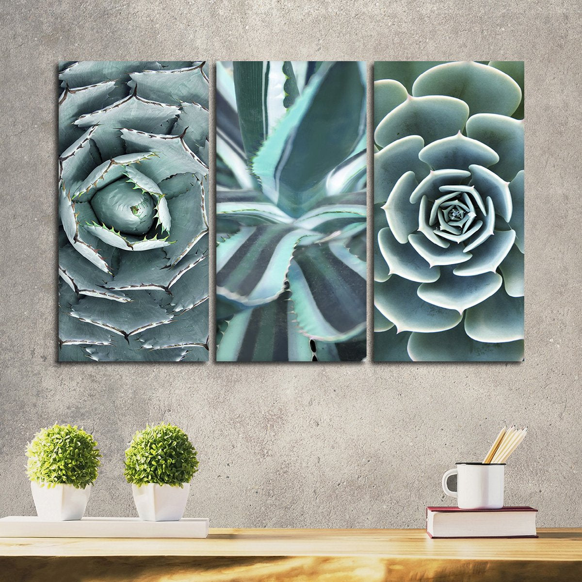 Cactus Compilation Canvas Set Wall Art