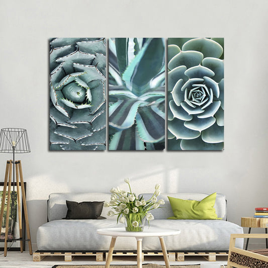 Cactus Compilation Canvas Set Wall Art