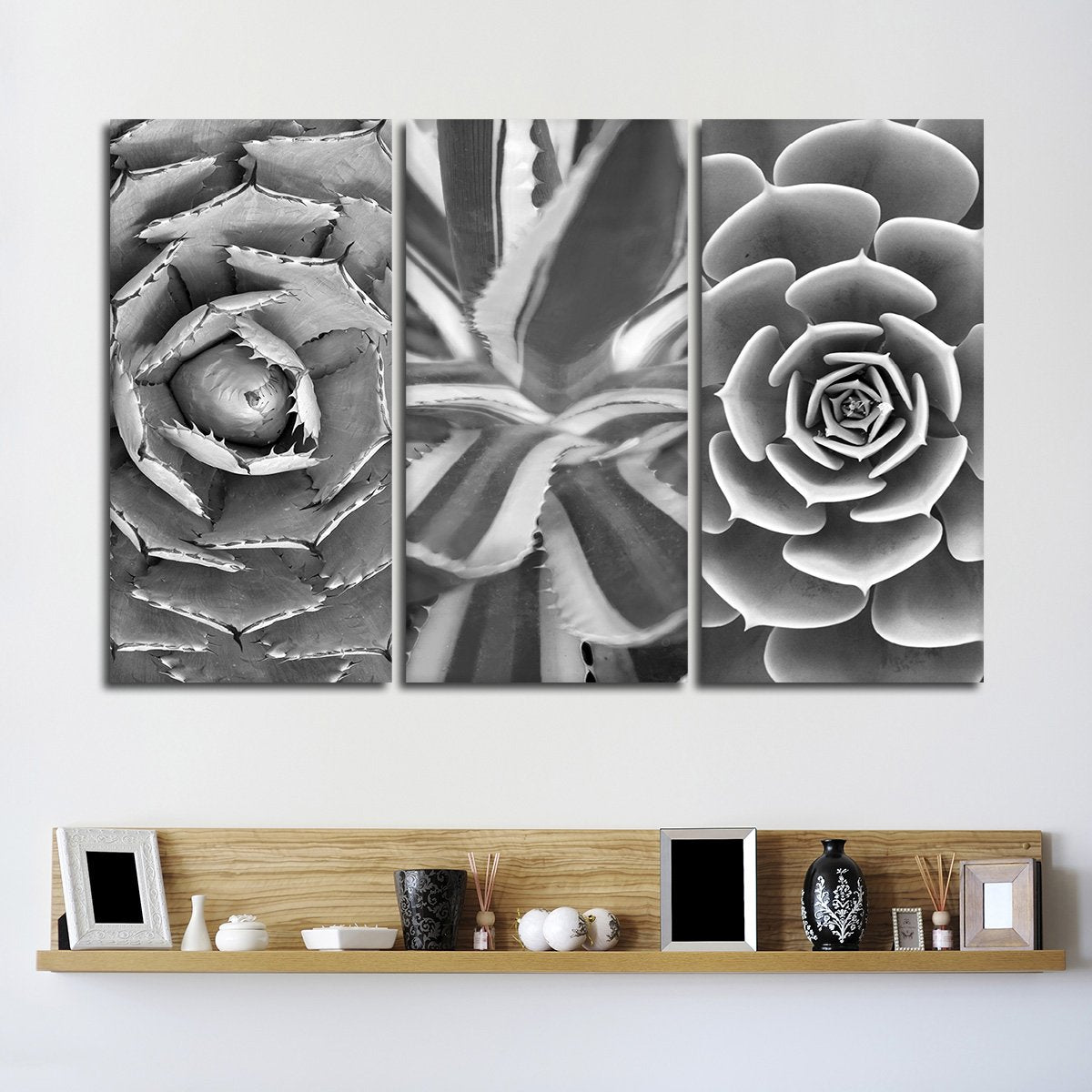 Cactus Assortment BW Canvas Set Wall Art