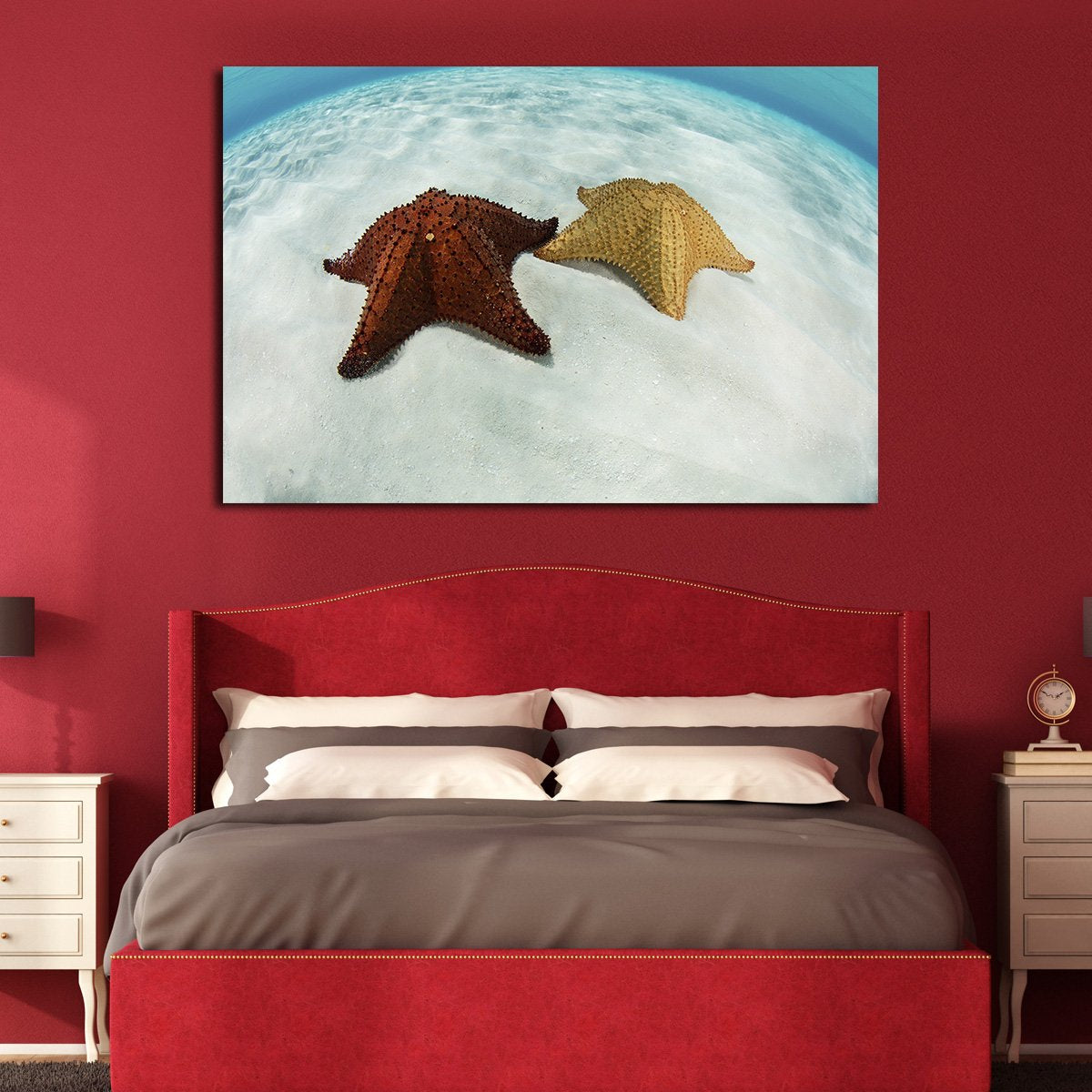 Caribbean Starfish Multi Panel Canvas Wall Art