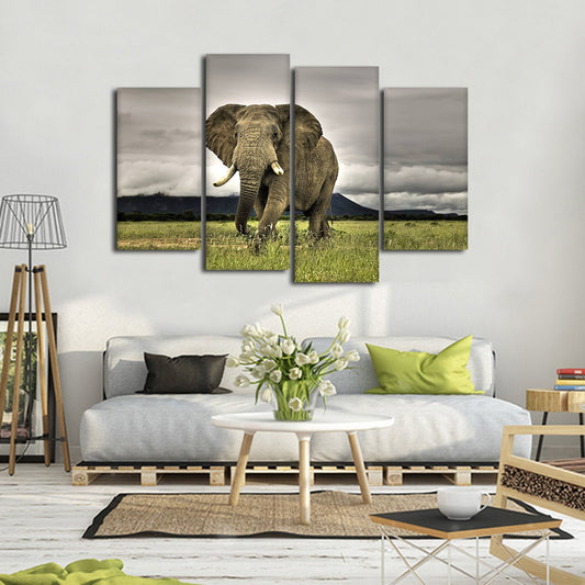 Elephant Landscape Multi Panel Canvas Wall Art