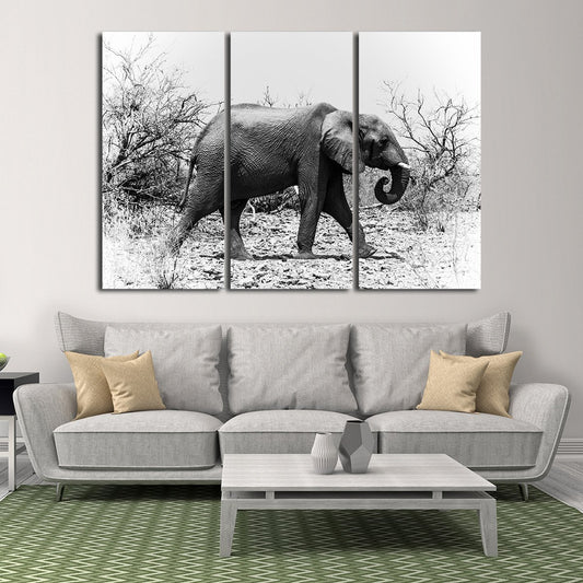 Elephant in Botswana Multi Panel Canvas Wall Art