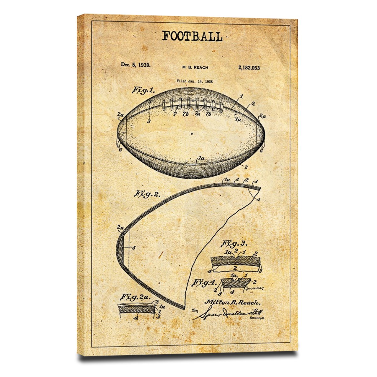 Football 2 Patent Canvas Wall Art