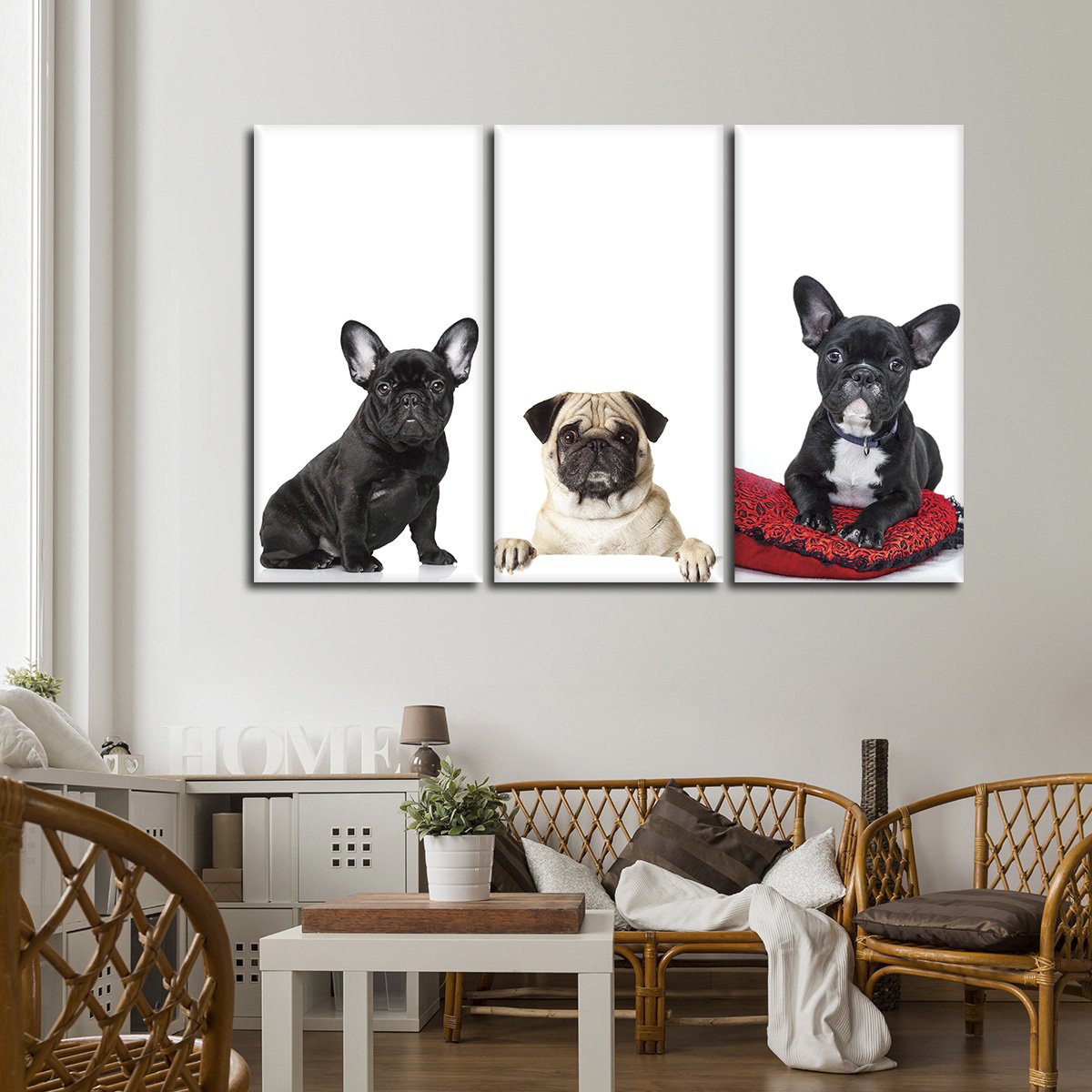 French Bulldogs And Pug Canvas Set Wall Art