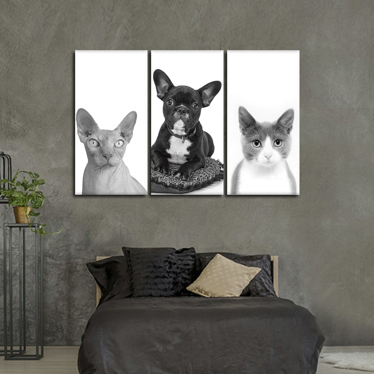 Furry Trio Canvas Set Wall Art
