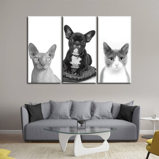 Furry Trio Canvas Set Wall Art
