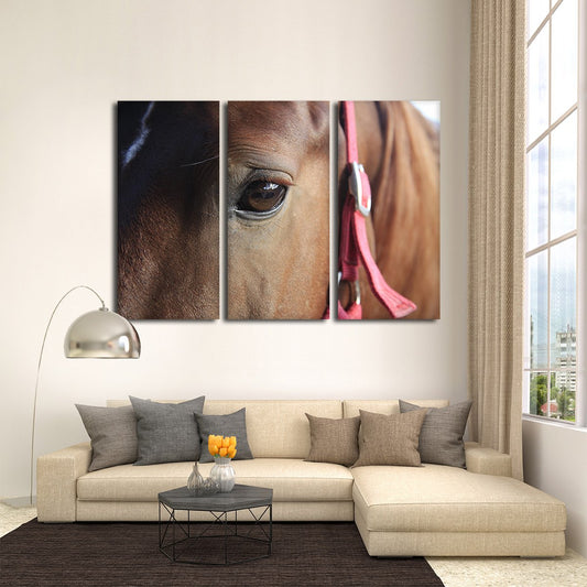 Horse's Soul Multi Panel Canvas Wall Art