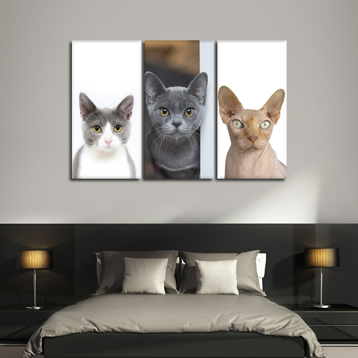 Kitten Dreams Multi Panel Canvas Wall Art
