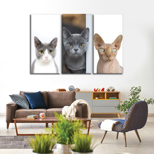 Kitten Dreams Multi Panel Canvas Wall Art