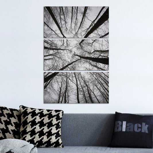 Gloomy Forest View Multi Panel Canvas Wall Art