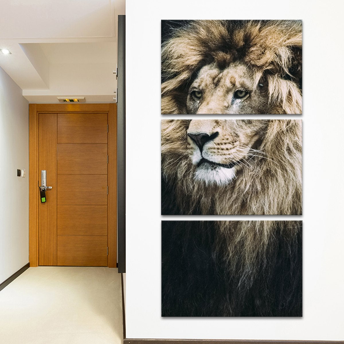 Old Lion Multi Panel Canvas Wall Art