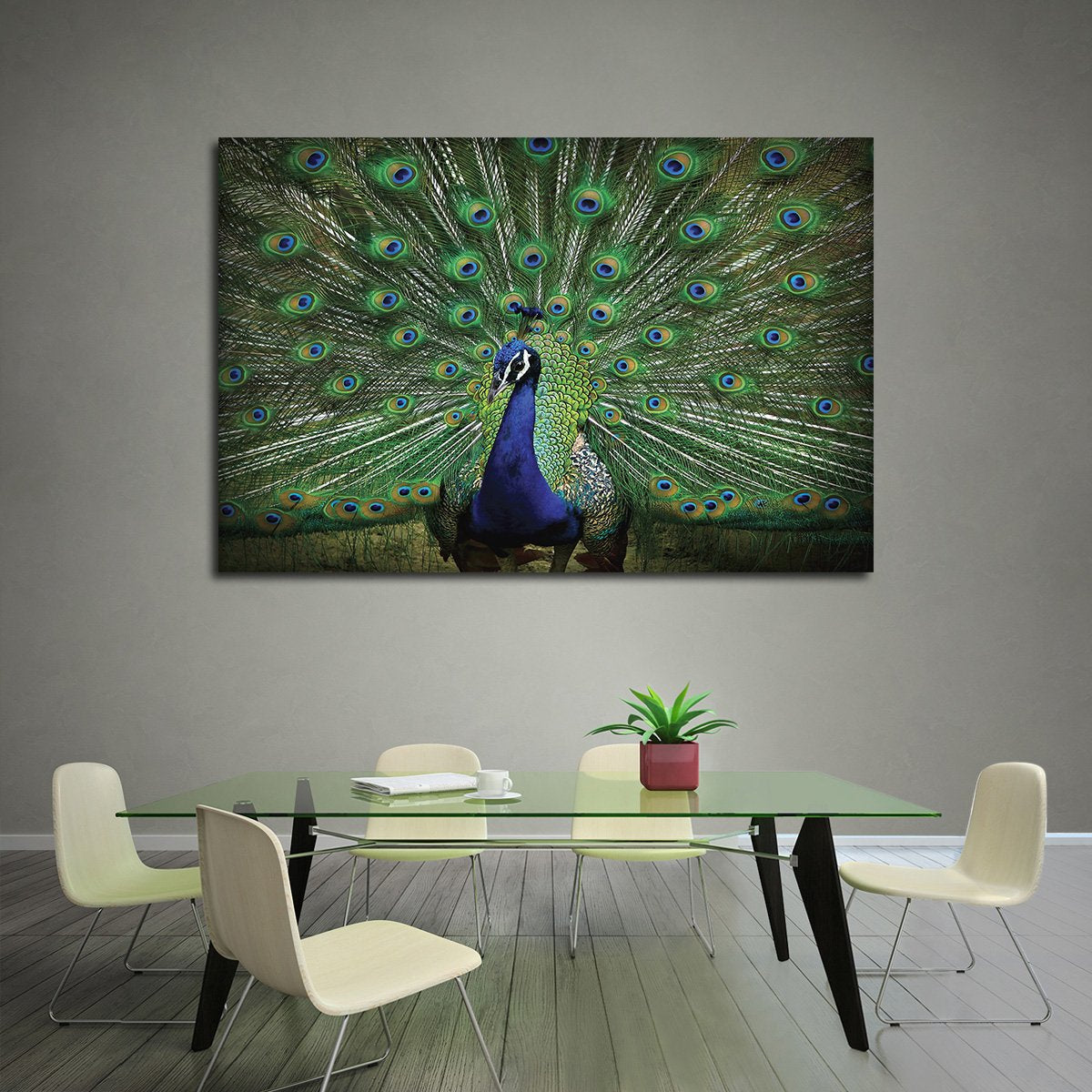 Peacock Feathers Multi Panel Canvas Wall Art