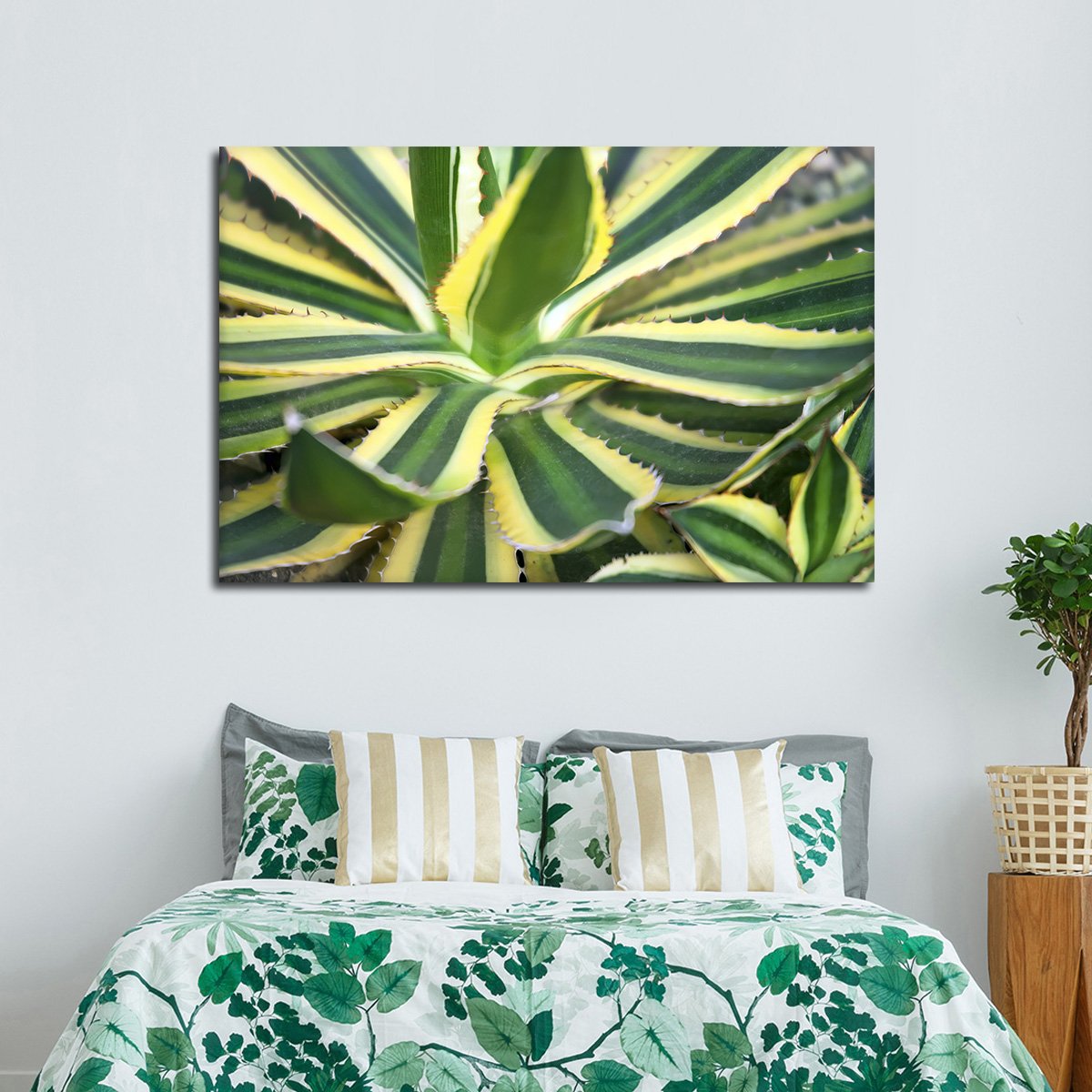 Pure Agave Multi Panel Canvas Wall Art