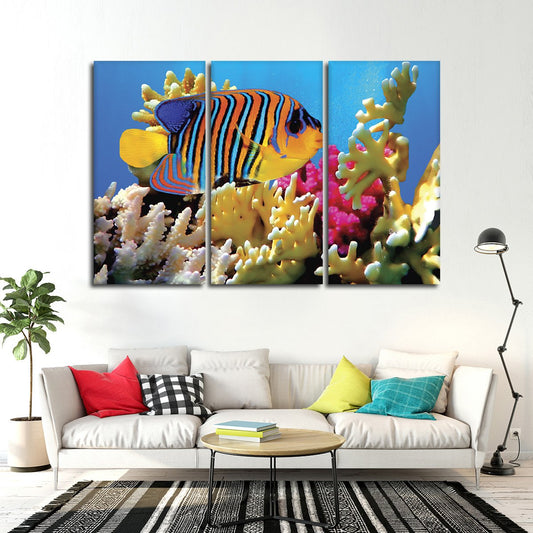 Queen Angelfish Multi Panel Canvas Wall Art