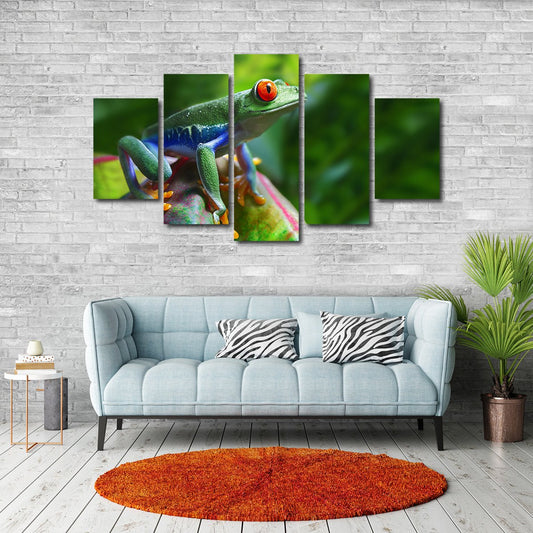 Red Eye Frog Multi Panel Canvas Wall Art