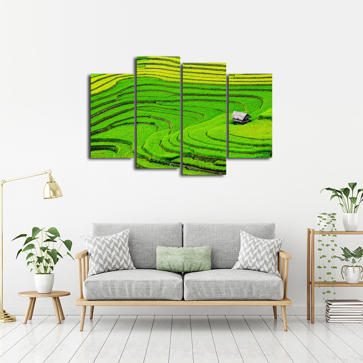 Rice Field in Vietnam Multi Panel Canvas Wall Art