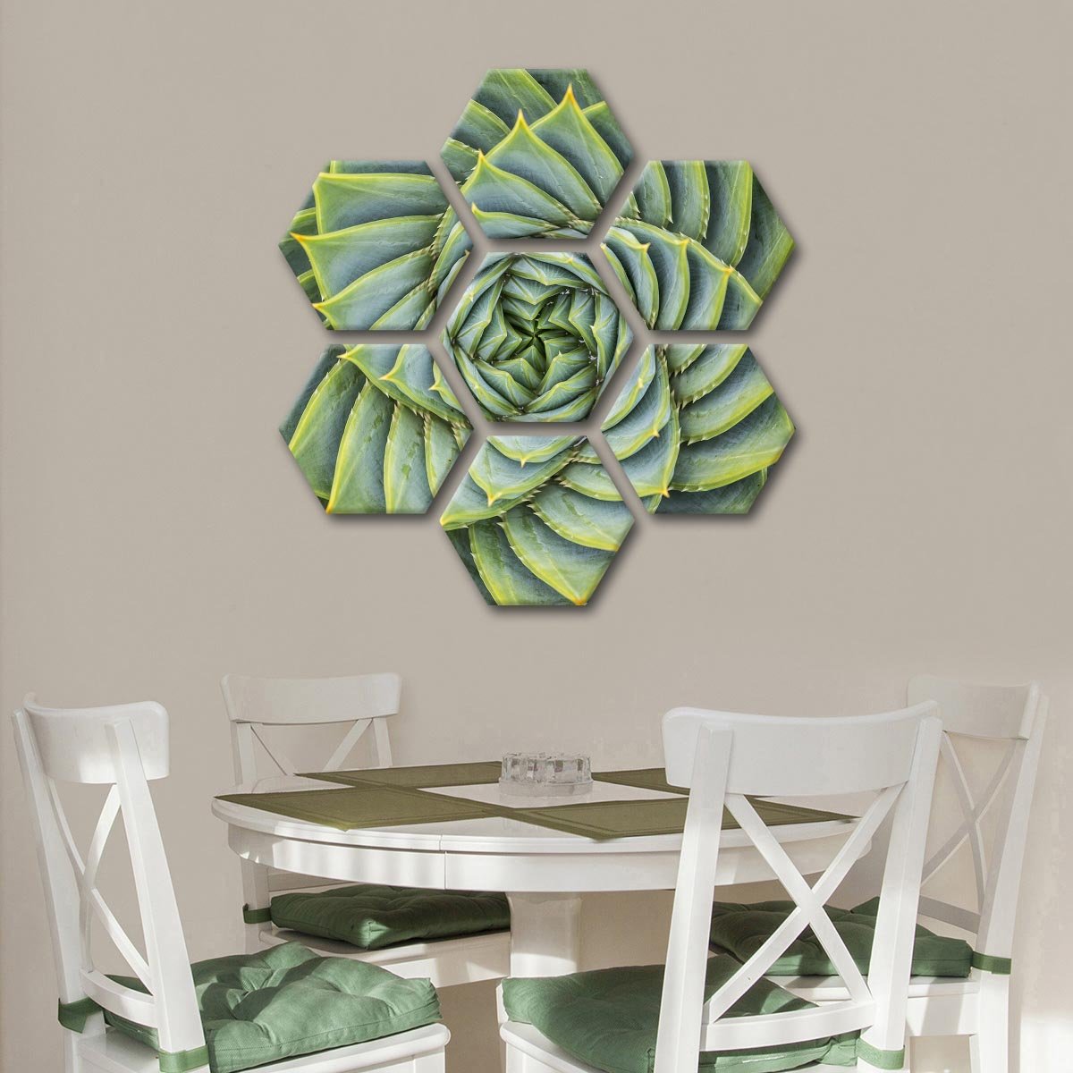 Spiral Aloe Multi Panel Canvas Wall Art
