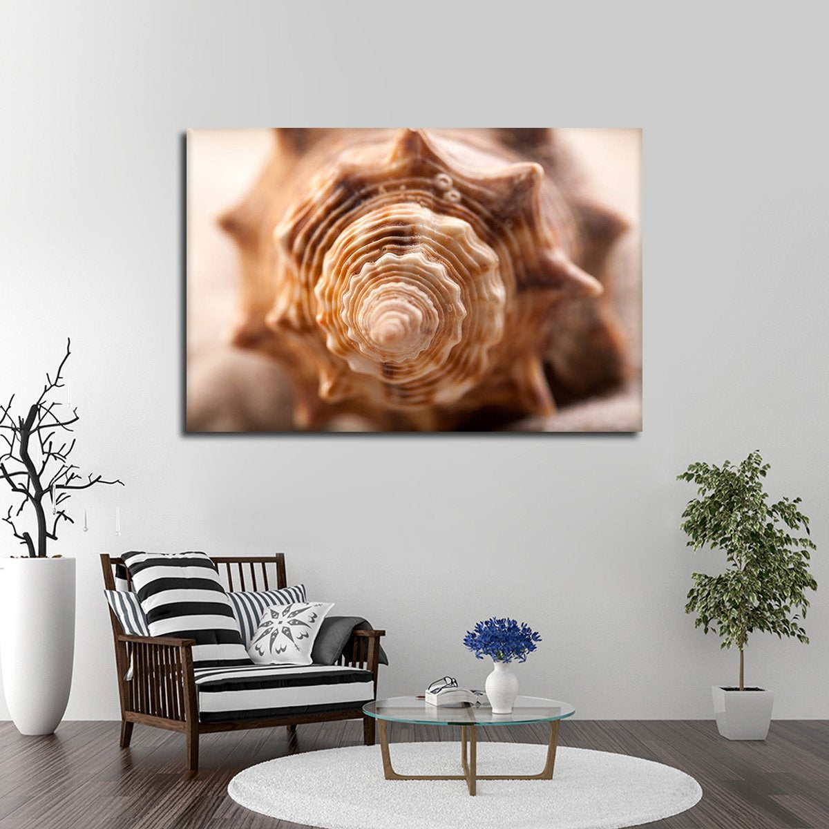 Spiral Shell Multi Panel Canvas Wall Art