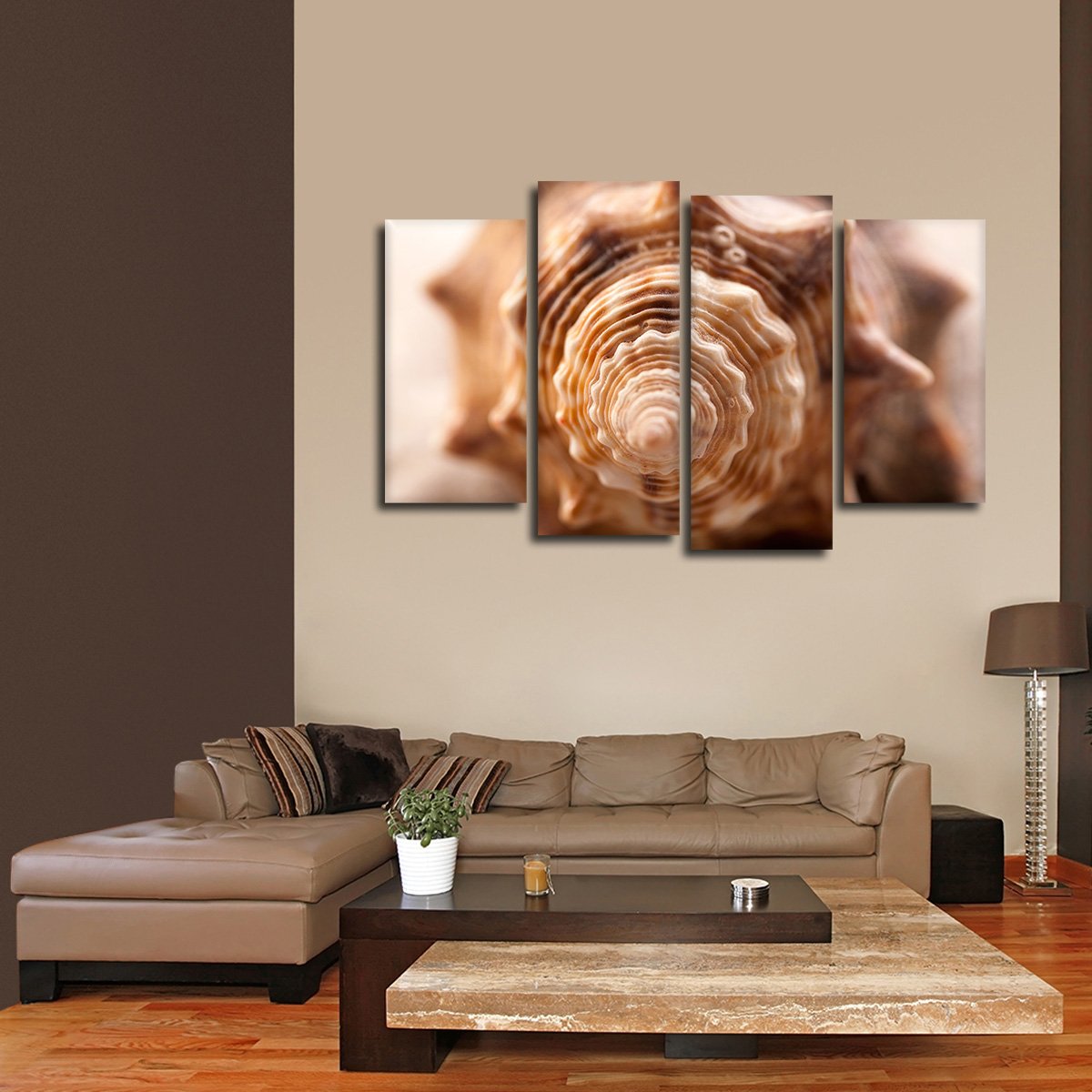 Spiral Shell Multi Panel Canvas Wall Art