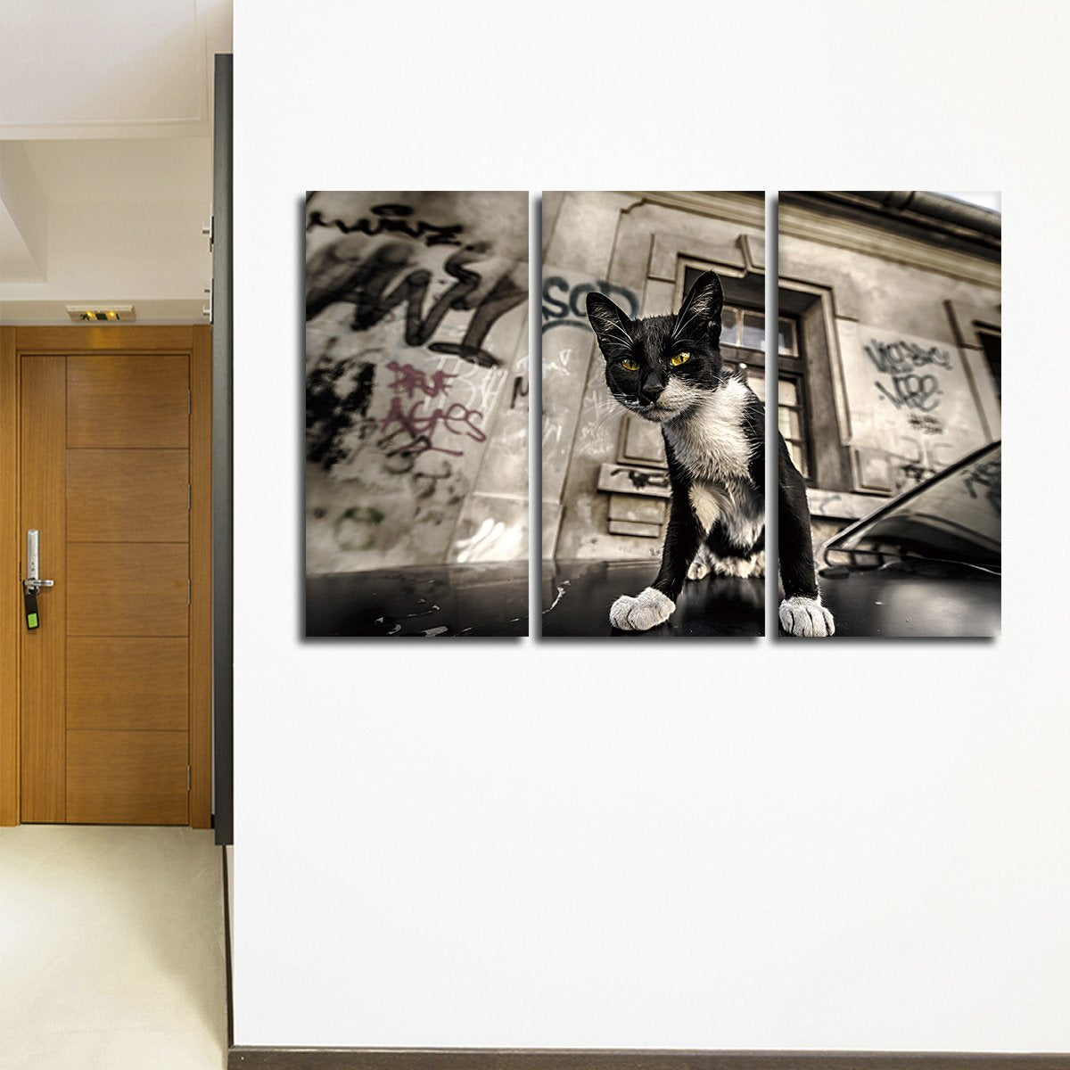 Street Cat Multi Panel Canvas Wall Art