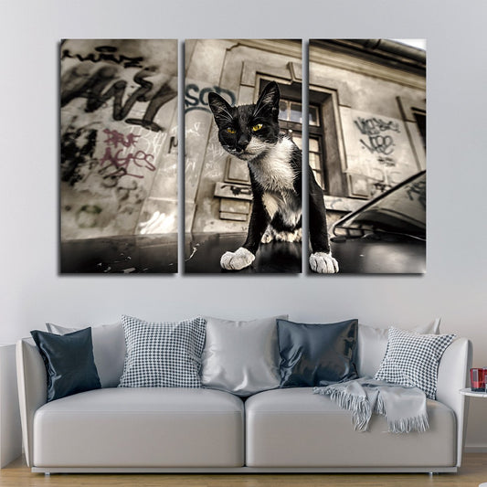 Street Cat Multi Panel Canvas Wall Art