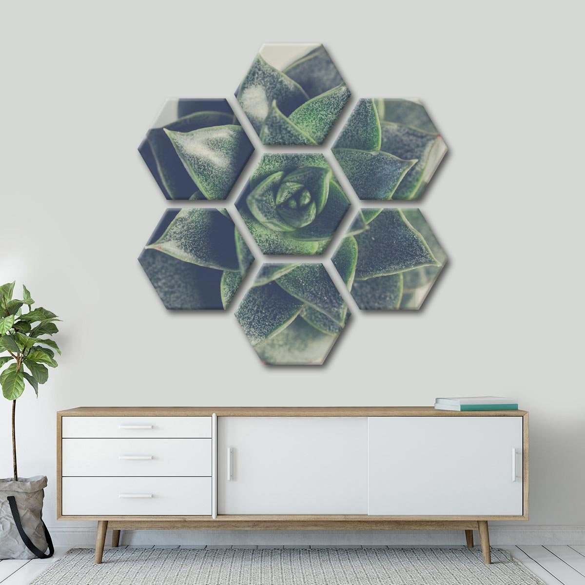 Little Succulent Multi Panel Canvas Wall Art