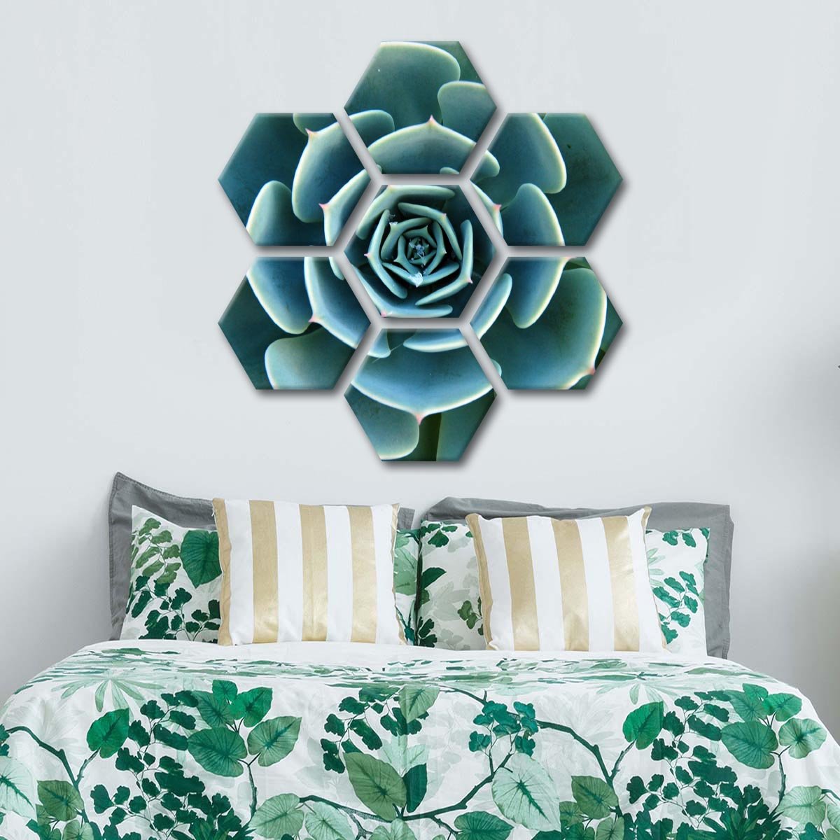 Aloe Succulent Multi Panel Canvas Wall Art